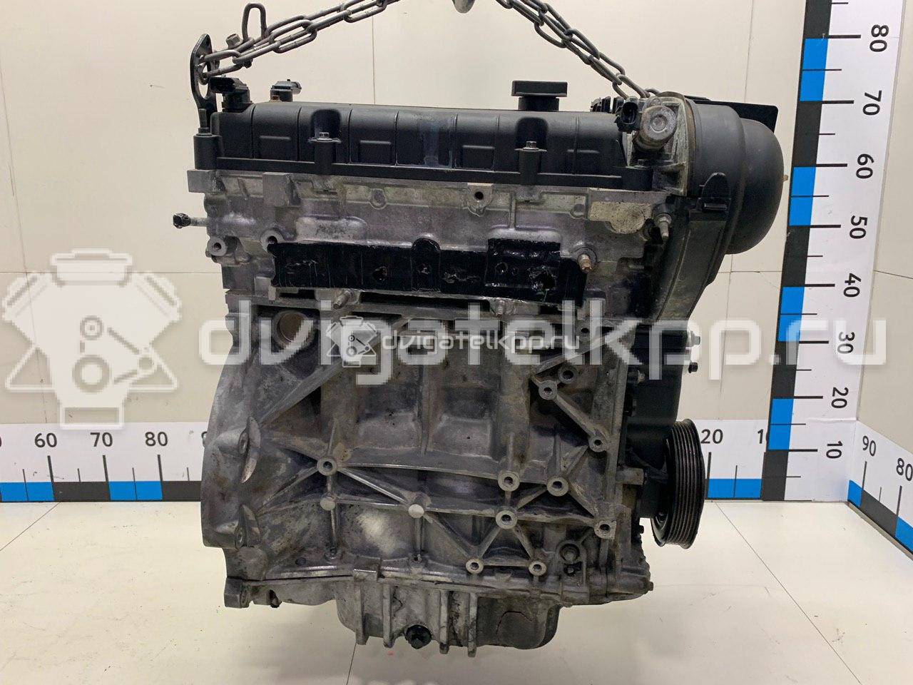 Фото Контрактный (б/у) двигатель PNDA для Ford / Ford Australia 125 л.с 16V 1.6 л бензин 1752082 {forloop.counter}}