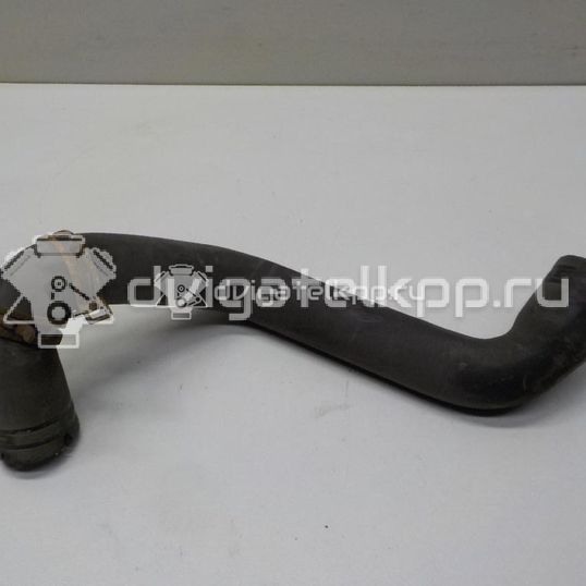 Фото Патрубок радиатора  8v618286ba для Ford Focus / C-Max