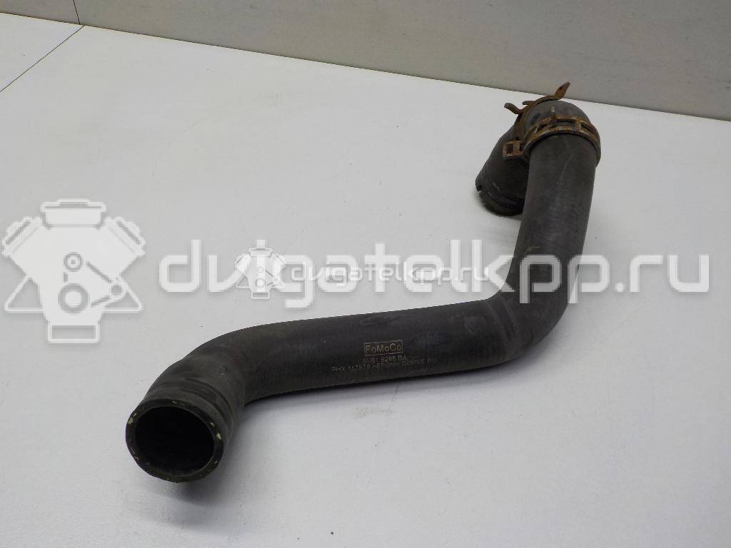 Фото Патрубок радиатора  8v618286ba для Ford Focus / C-Max {forloop.counter}}