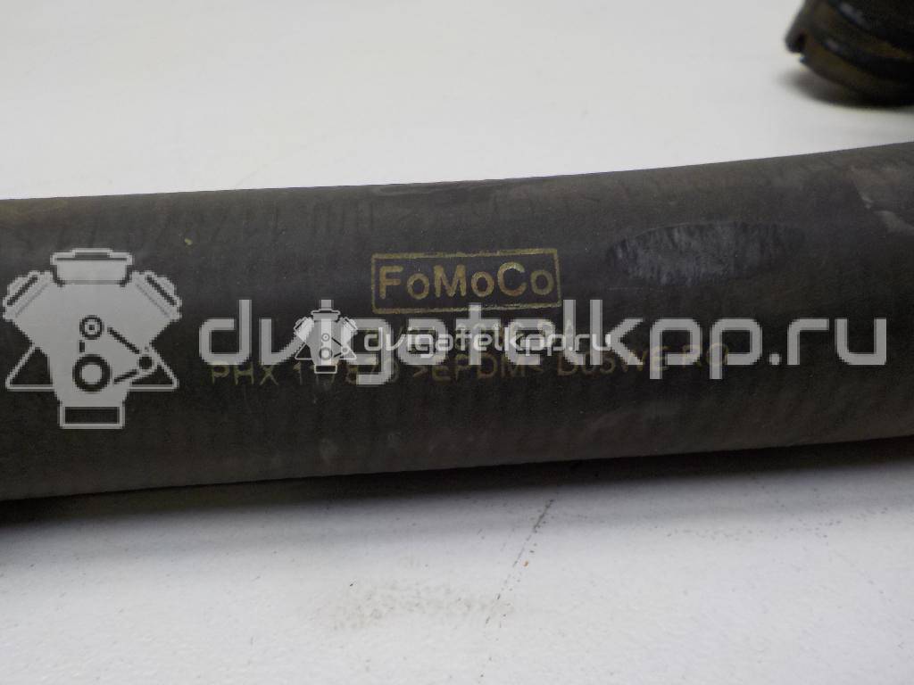 Фото Патрубок радиатора  8v618286ba для Ford Focus / C-Max {forloop.counter}}