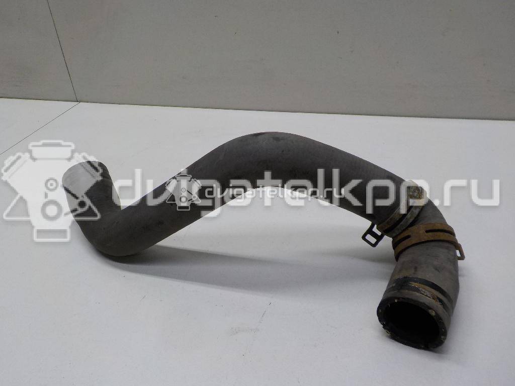 Фото Патрубок радиатора  8v618286ba для Ford Focus / C-Max {forloop.counter}}
