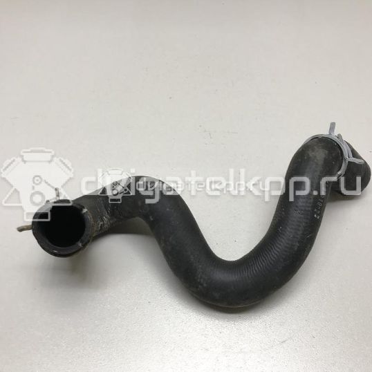 Фото Патрубок радиатора  1384145 для Ford Focus / C-Max