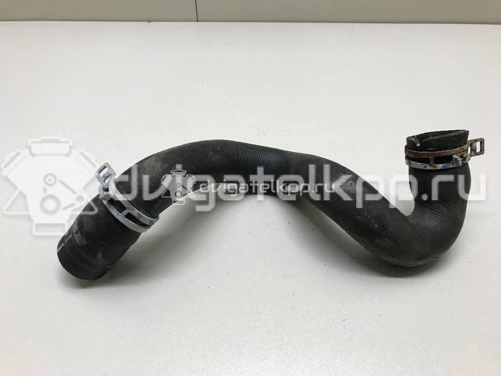 Фото Патрубок радиатора  1384145 для Ford Focus / C-Max {forloop.counter}}