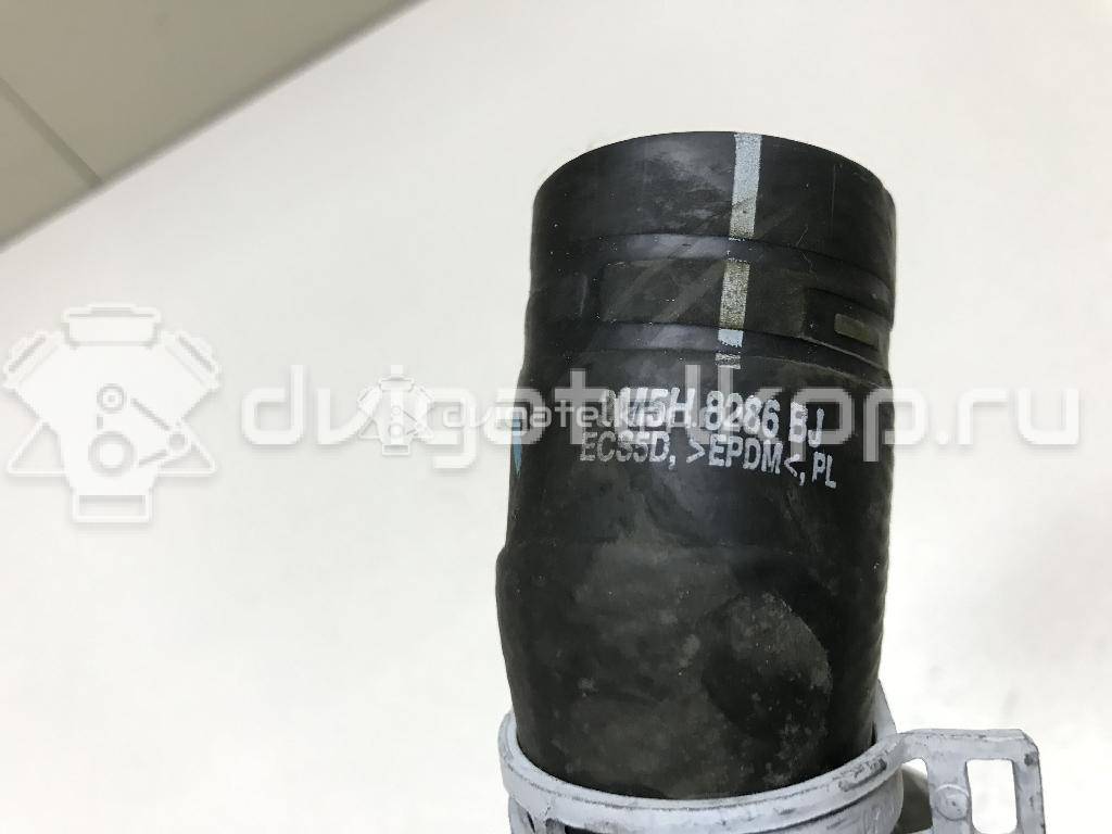 Фото Патрубок радиатора  1384145 для Ford Focus / C-Max {forloop.counter}}