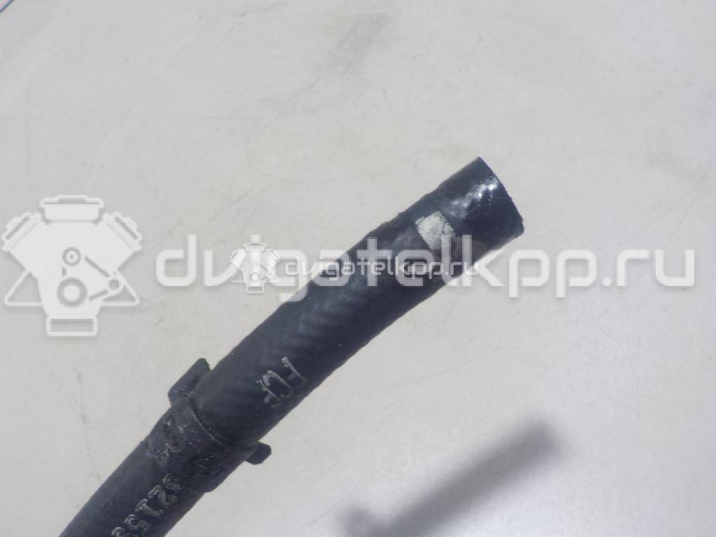 Фото Радиатор гидроусилителя  1094672 для Ford Focus {forloop.counter}}