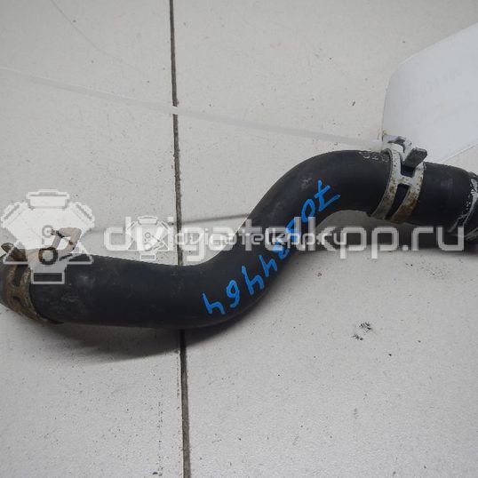 Фото Патрубок  1317039 для Ford Focus / C-Max