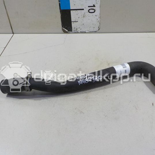 Фото Патрубок радиатора  1386719 для Ford Focus / C-Max