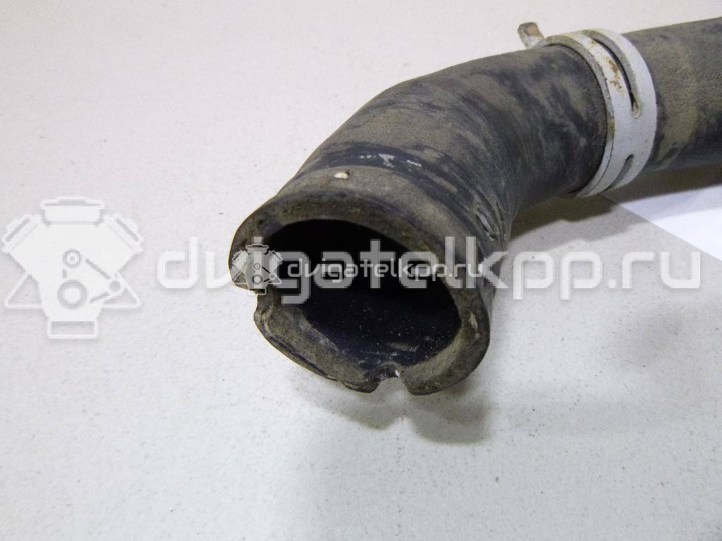 Фото Патрубок радиатора  3M5H8260BK для Ford Focus / C-Max {forloop.counter}}