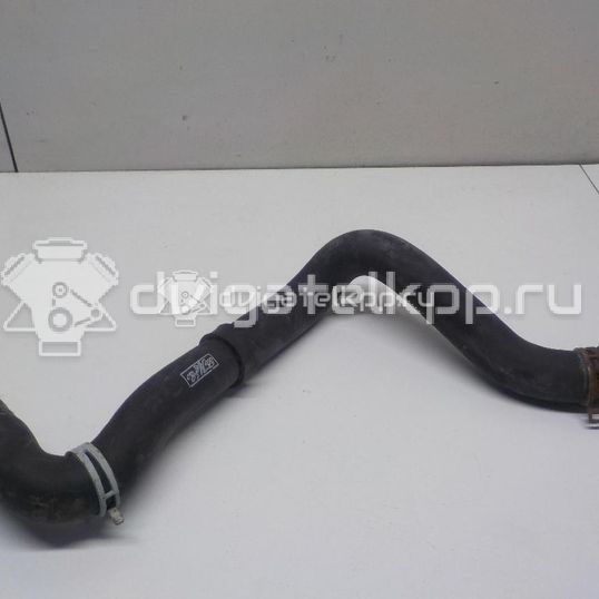 Фото Патрубок радиатора  1520851 для Ford Focus / C-Max