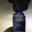 Фото Капот  1521601 для Ford Focus {forloop.counter}}