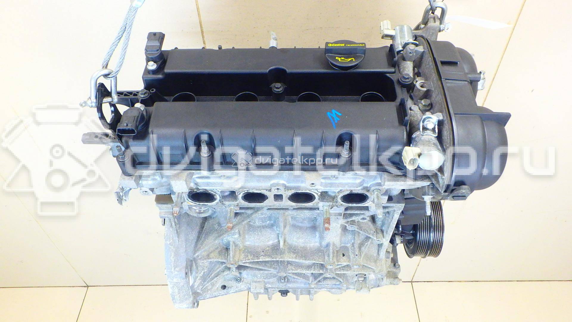 Фото Контрактный (б/у) двигатель PNDA для Ford Australia Focus 125 л.с 16V 1.6 л бензин 1727626 {forloop.counter}}