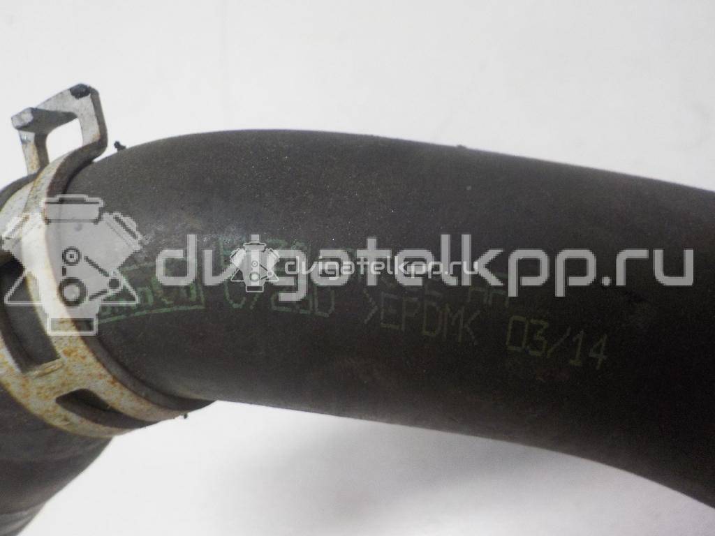 Фото Шланг системы охлаждения  bk3q8a582aa для Ford Transit {forloop.counter}}