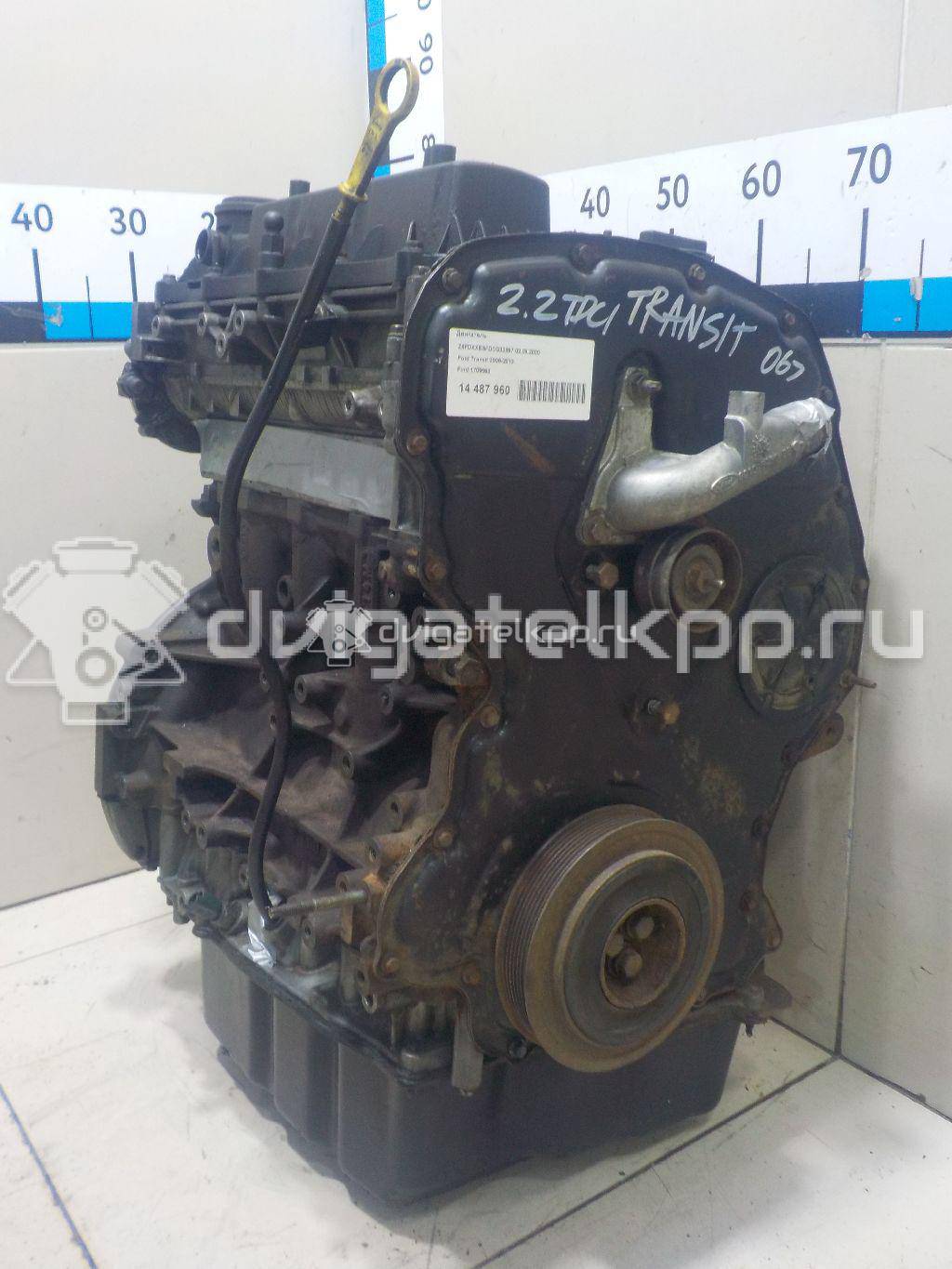 Фото Контрактный (б/у) двигатель P8FB для Ford Transit 85 л.с 16V 2.2 л Дизельное топливо 1709003 {forloop.counter}}