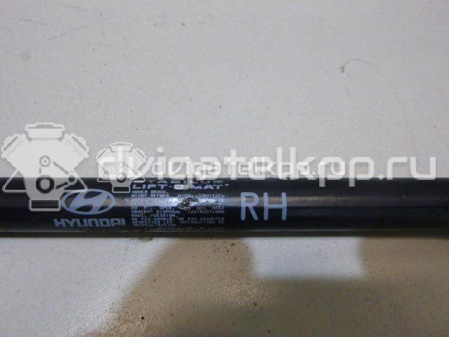 Фото Амортизатор двери багажника  817802L000 для Hyundai I30 {forloop.counter}}