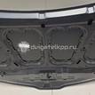 Фото Капот  KA4610150-1000 для kia RIO {forloop.counter}}