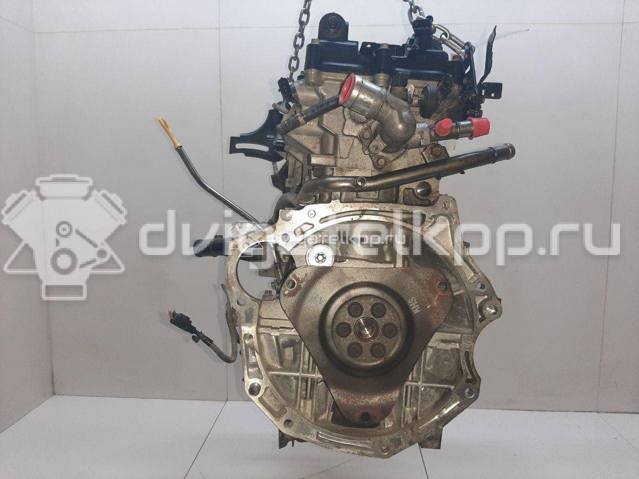 Фото Контрактный (б/у) двигатель G4FG для Hyundai (Beijing) / Hyundai / Kia 123-128 л.с 16V 1.6 л бензин Z79412BZ00 {forloop.counter}}