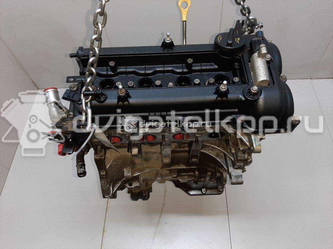 Фото Контрактный (б/у) двигатель G4FG для Hyundai (Beijing) / Hyundai / Kia 123-128 л.с 16V 1.6 л бензин Z79412BZ00 {forloop.counter}}