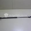 Фото Амортизатор двери багажника  90450JD01B для Nissan Qashqai {forloop.counter}}