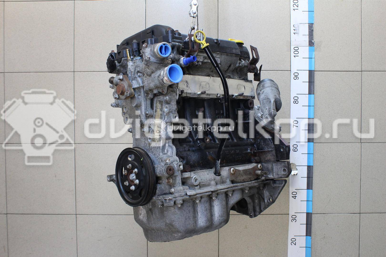 Фото Контрактный (б/у) двигатель Z 12 XEP для Opel / Suzuki / Vauxhall 80 л.с 16V 1.2 л бензин 55354081 {forloop.counter}}