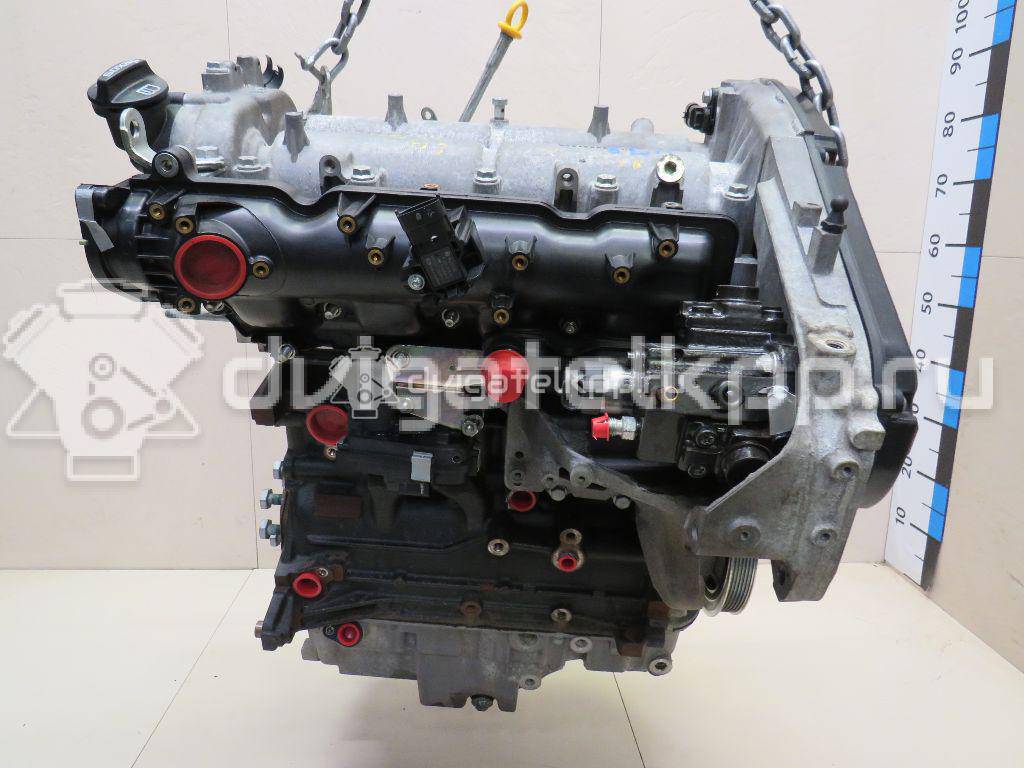 Фото Контрактный (б/у) двигатель A 20 DTH для Holden / Opel / Vauxhall 160-165 л.с 16V 2.0 л Дизельное топливо 55582539 {forloop.counter}}