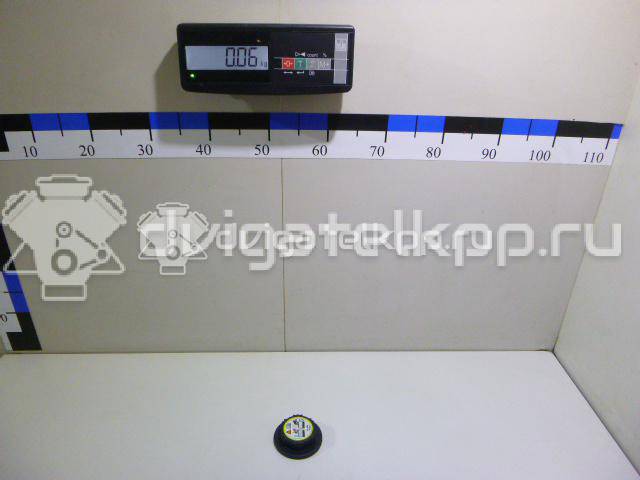 Фото Крышка расширительного бачка  PCD000090 для infiniti QX56 (JA60) {forloop.counter}}