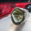 Фото Фонарь задний правый  3565051k10 для Suzuki Splash Ex {forloop.counter}}