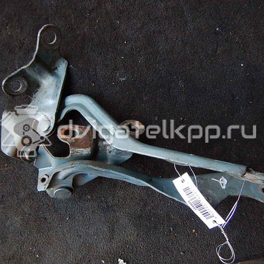 Фото Петля капота правая  C10052410B для Mazda Premacy Cp