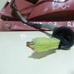 Фото Фонарь задний правый  3565062J00 для Suzuki Swift {forloop.counter}}