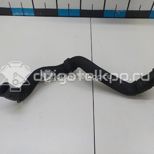 Фото Шланг системы охлаждения  8K0121055L для Audi A5 / A4