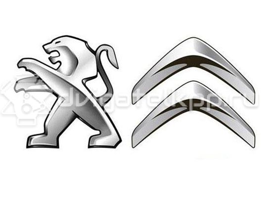 Фото Колпачок ступицы колеса Peugeot-Citroen с эмблемой Peugeot  542149
