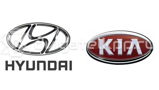 Фото Колпак ступицы колеса Hyundai-KIA  529601H100