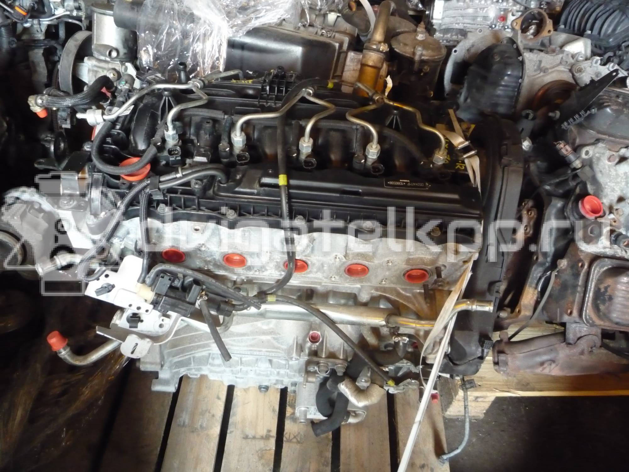 Фото Контрактный (б/у) двигатель D 5244 T17 для Volvo V70 / V60 / Xc60 / Xc70 163 л.с 20V 2.4 л Дизельное топливо {forloop.counter}}