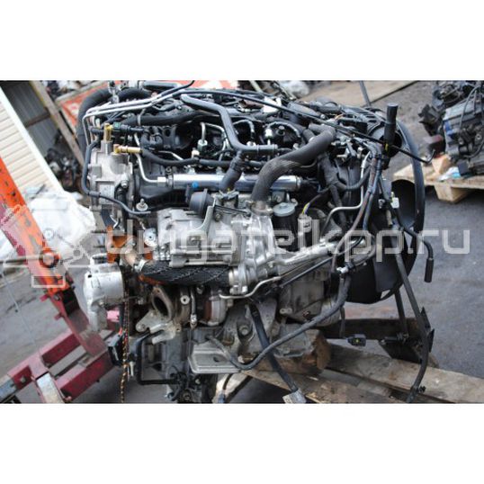 Фото Контрактный (б/у) двигатель 30DDTX для Land Rover Range Rover 211-272 л.с 24V 3.0 л Дизельное топливо