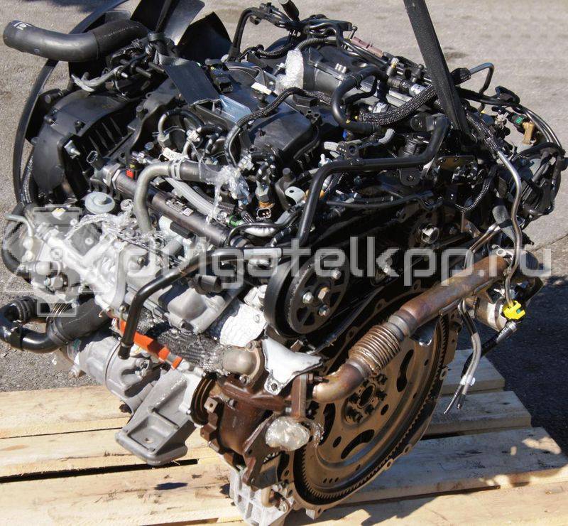 Фото Контрактный (б/у) двигатель 30DDTX для Land Rover Range Rover 211-272 л.с 24V 3.0 л Дизельное топливо {forloop.counter}}