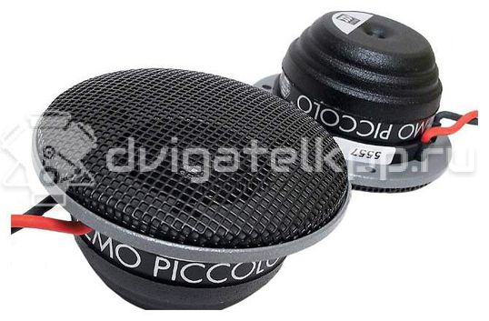 Фото Твитер morel Supremo Supremo Piccolo
