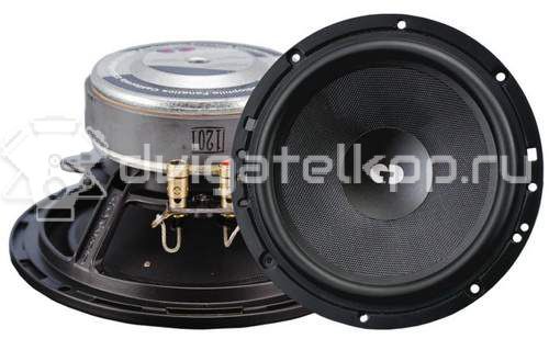 Фото Мидбасовая акустика CDT Audio HD-M6