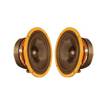 Фото Мидбас автомобильный CDT Audio ES-03 Gold {forloop.counter}}