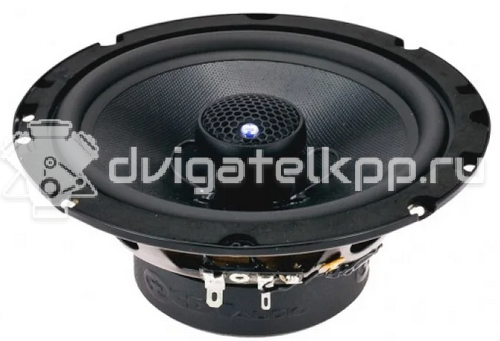 Фото Мидбасовая акустика CDT Audio CL-E6