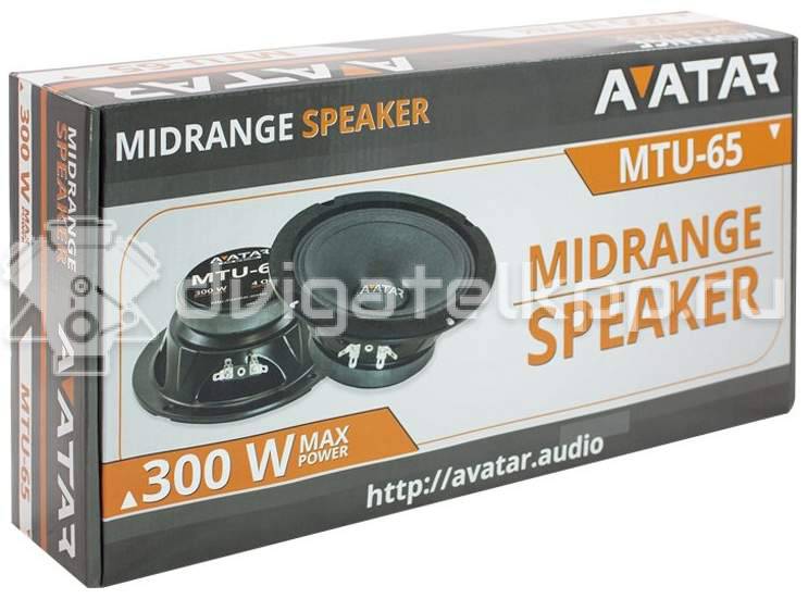 Фото Среднечастотный динамик Avatar Tsunami MTU-65 {forloop.counter}}