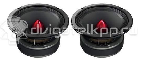 Фото Автомобильные колонки Pioneer TS-M650PRO