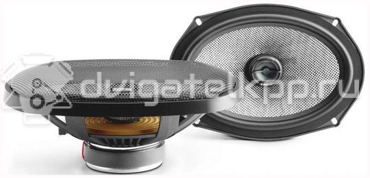 Фото Колонки Focal Access 690 AC