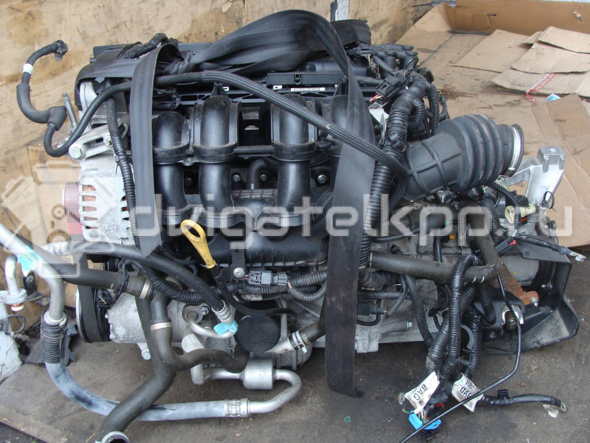 Фото Контрактный (б/у) двигатель PNDA для Ford Focus / C-Max / Grand 125 л.с 16V 1.6 л бензин {forloop.counter}}