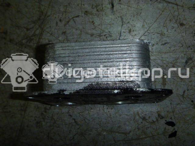 Фото Радиатор масляный  6790859280 для fiat Scudo II {forloop.counter}}