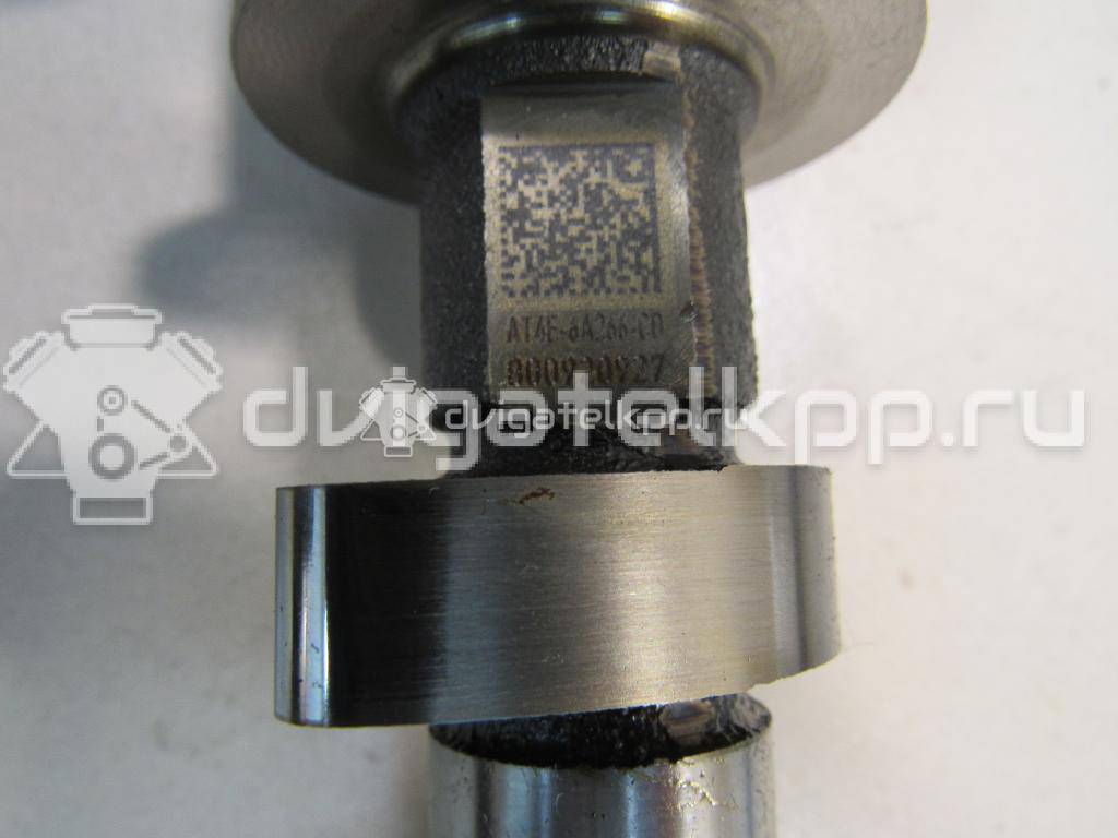 Фото Распредвал впускной  at4z6250a для ford america Explorer {forloop.counter}}