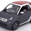 Фото Коллекционная модель Smart B66960290 {forloop.counter}}