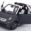 Фото Коллекционная модель Smart B66960290 {forloop.counter}}