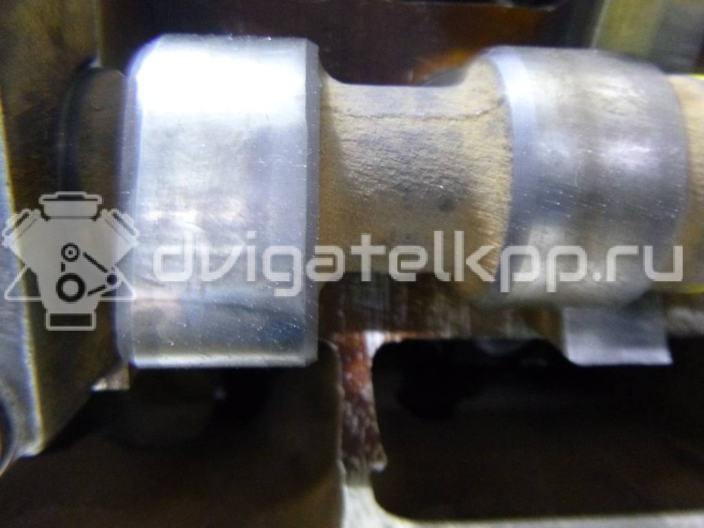 Фото Головка блока  037103265X для Volkswagen Passat / Jetta / Golf {forloop.counter}}