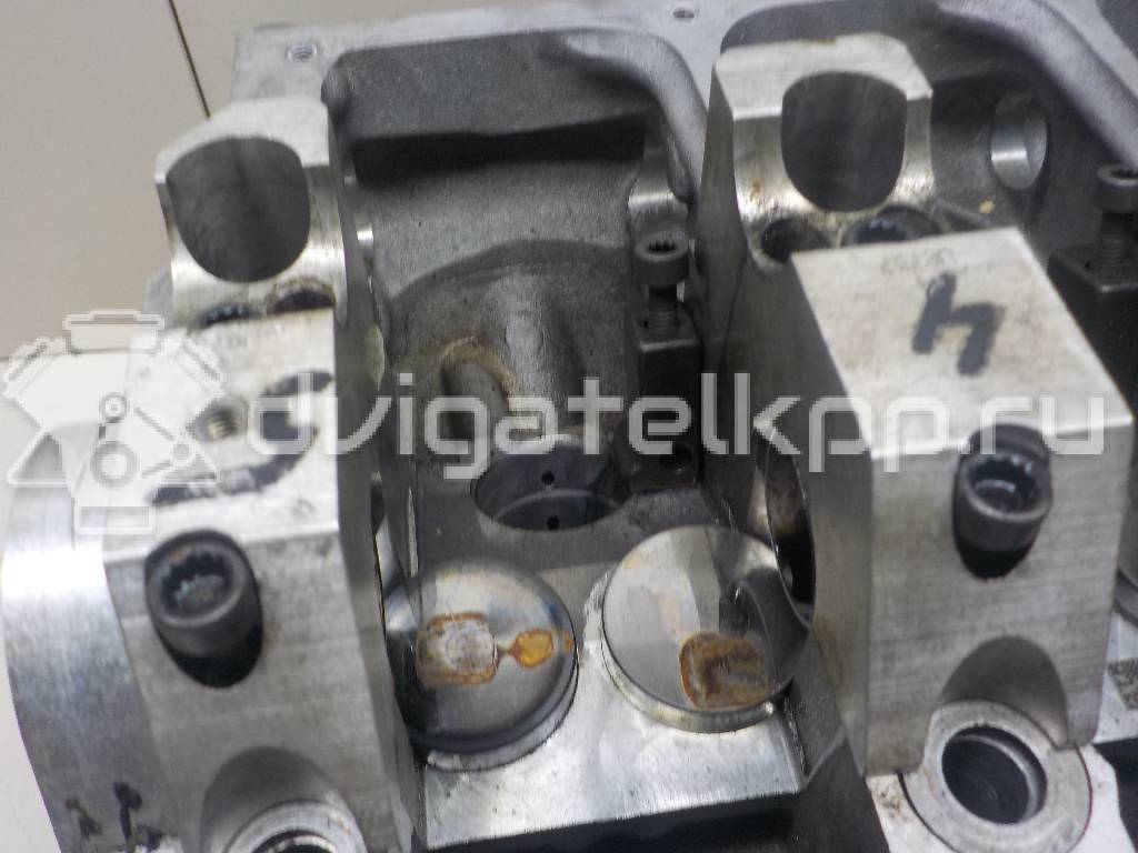 Фото Головка блока  038103267EX для audi A4 [B7] {forloop.counter}}