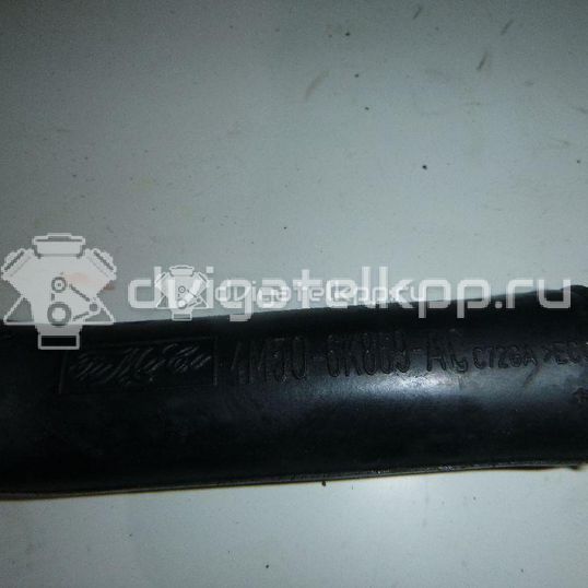 Фото Шланг вентиляции картер. газов  1387936 для ford C-MAX