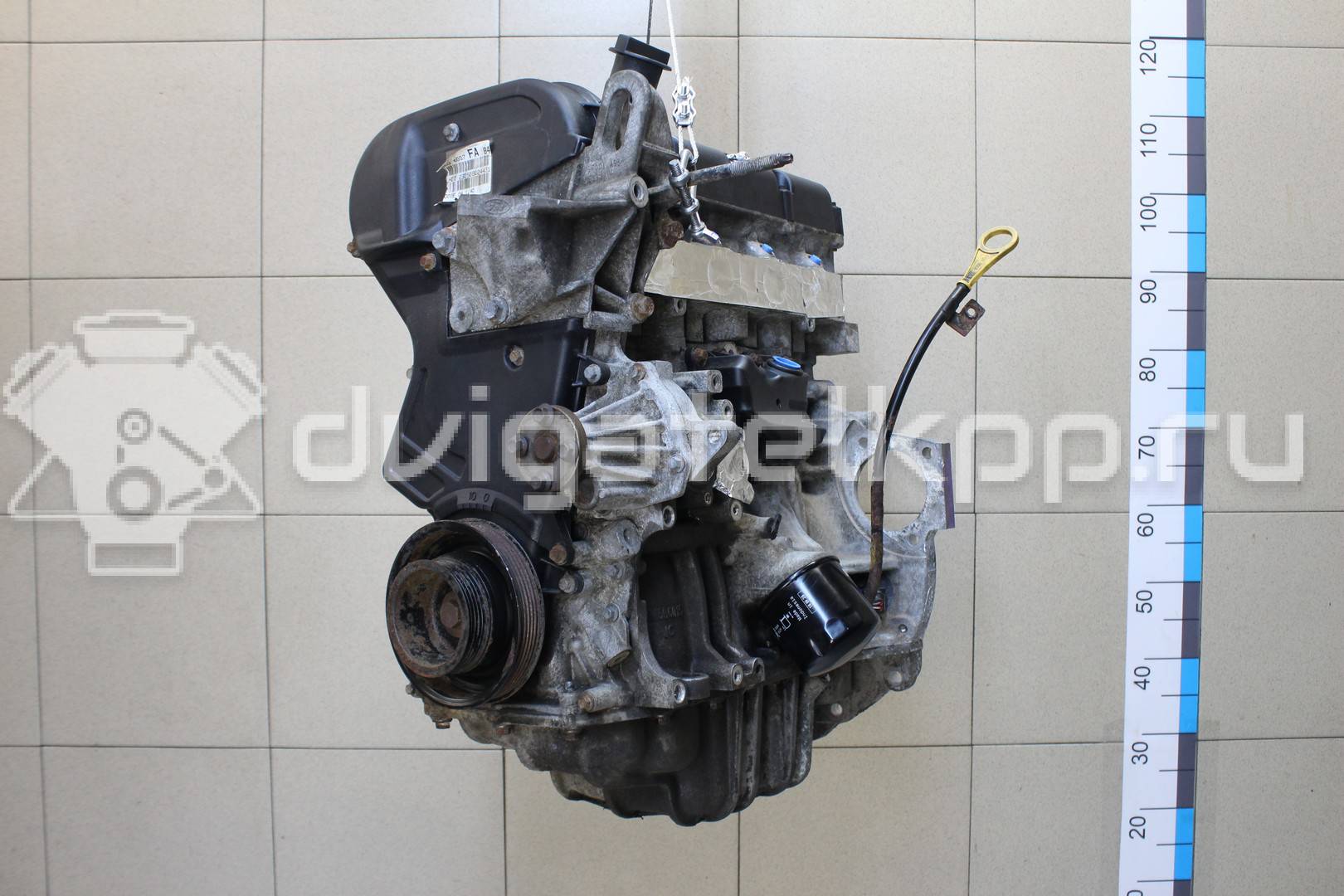 Фото Контрактный (б/у) двигатель XMJA для Ford Fiesta 65 л.с 12V 1.0 л бензин 1734722 {forloop.counter}}